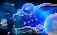 Комочки в сперме: почему образуются и когда беспокоиться?
