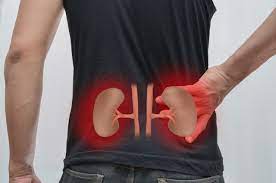 Kidney disease - glomerulonephritis: why danger?, фото